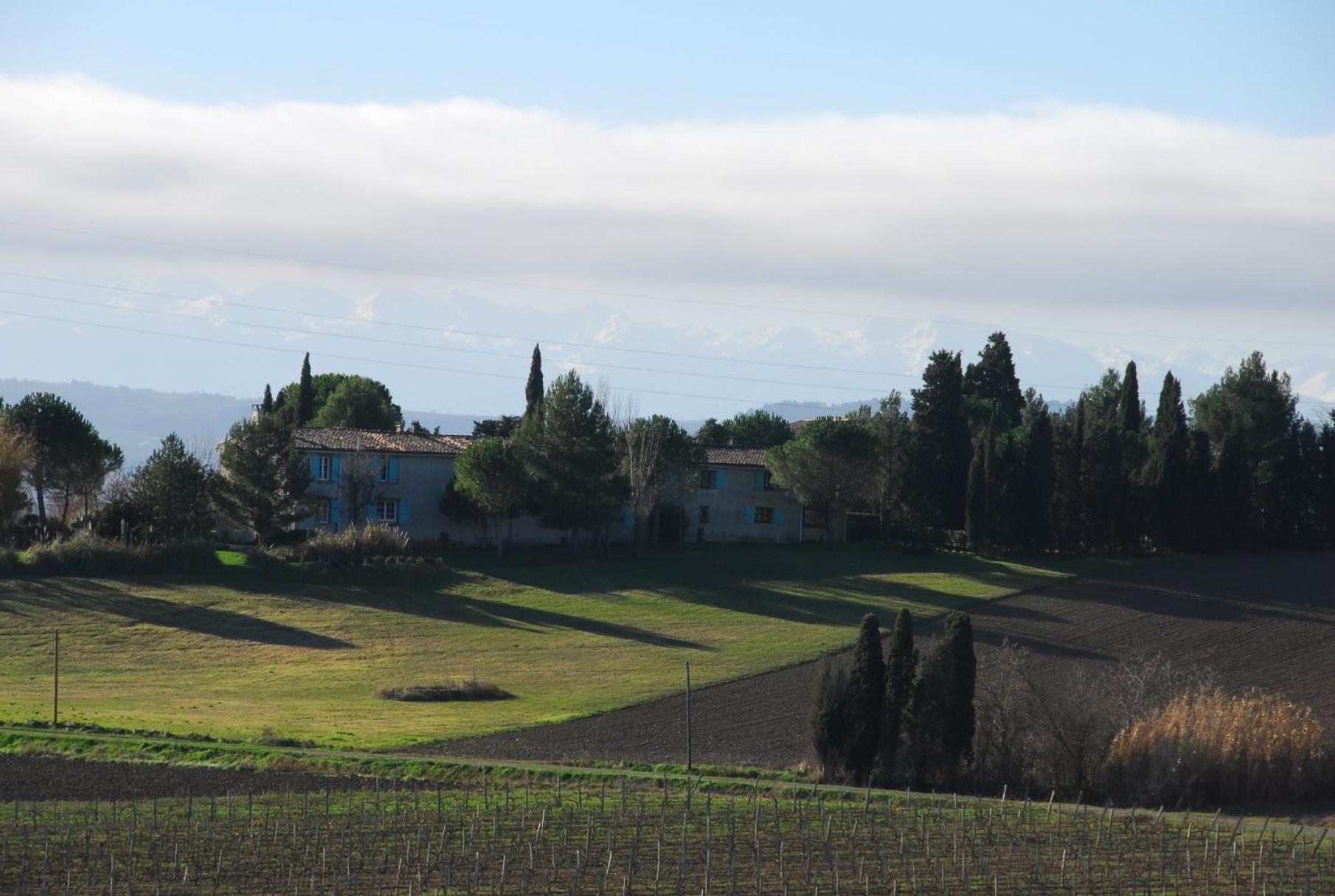 Domaine Saladry Villepinte (Aude) Exterior foto