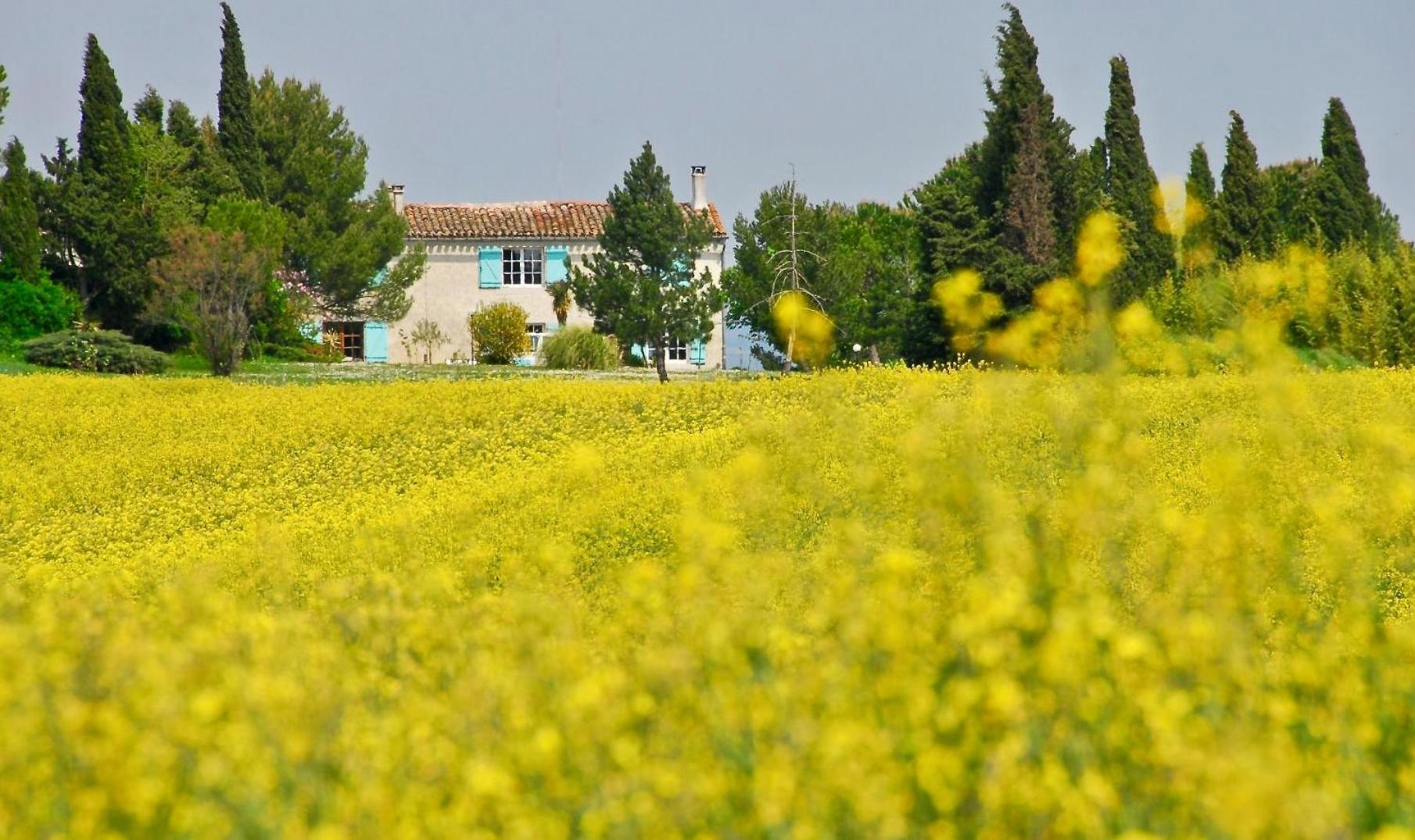 Domaine Saladry Villepinte (Aude) Exterior foto