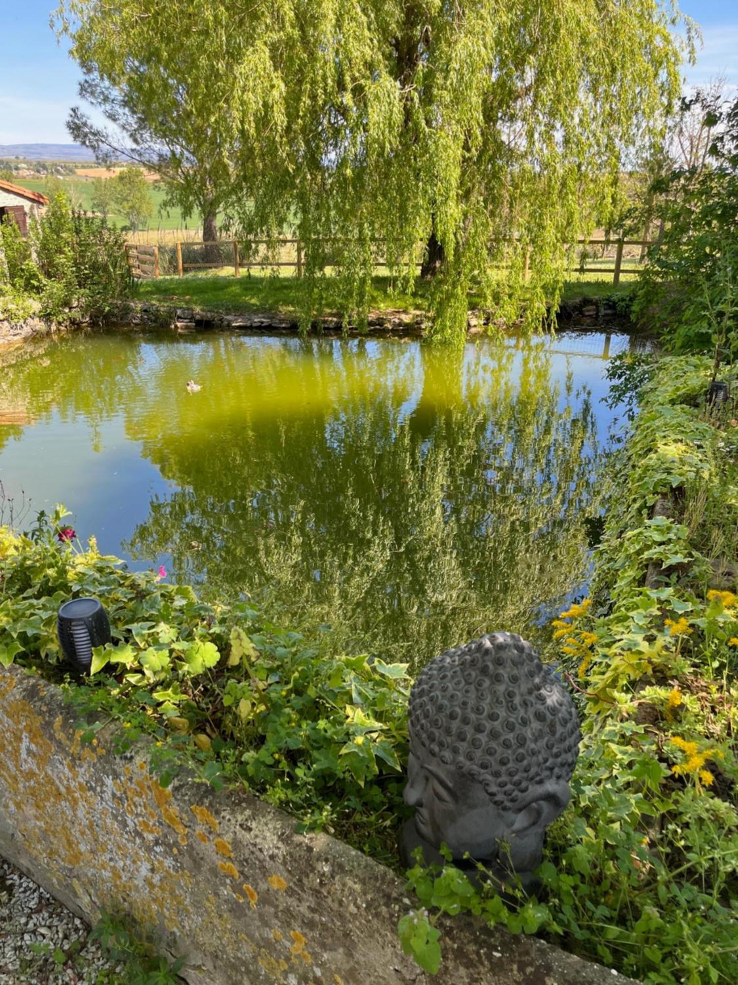 Domaine Saladry Villepinte (Aude) Exterior foto