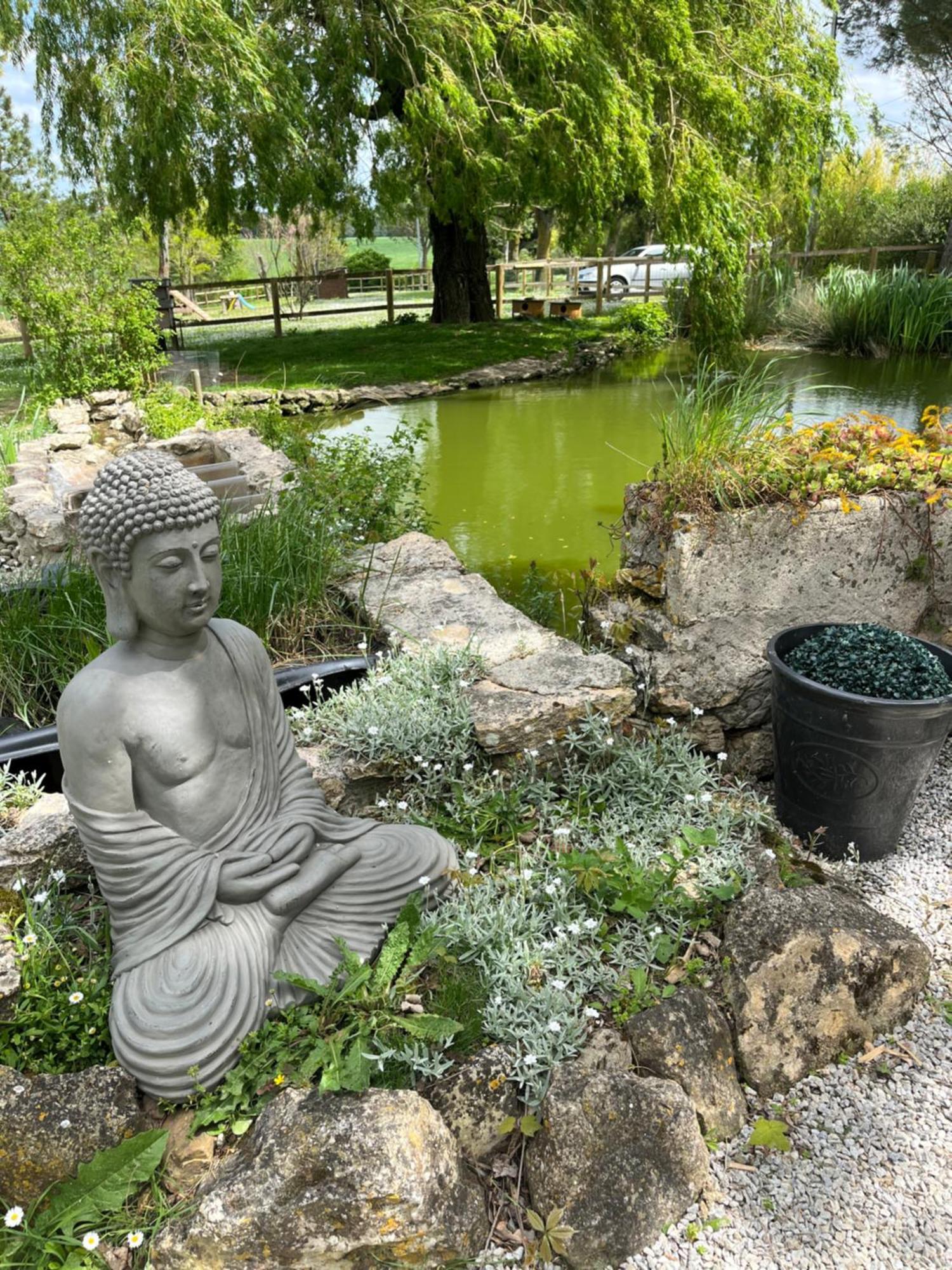 Domaine Saladry Villepinte (Aude) Exterior foto